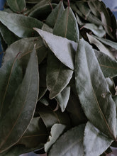 Bay leaves - Earth.Air.Fire.Water Organics