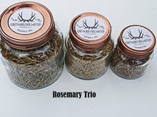 Rosemary - Earth.Air.Fire.Water Organics