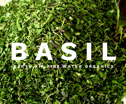 Basil - Earth.Air.Fire.Water Organics